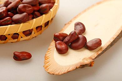 Steam版《怪物猎人：崛起》妃蜘蛛装备展示 游戏现已发售